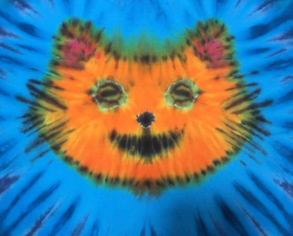 Kids Tabby Cat Tie-Dyed Tee, Youth M