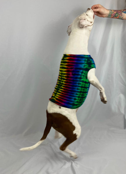 Doggie Rainbow Black Striped Tie-Dyed Tank, XS, S & XL