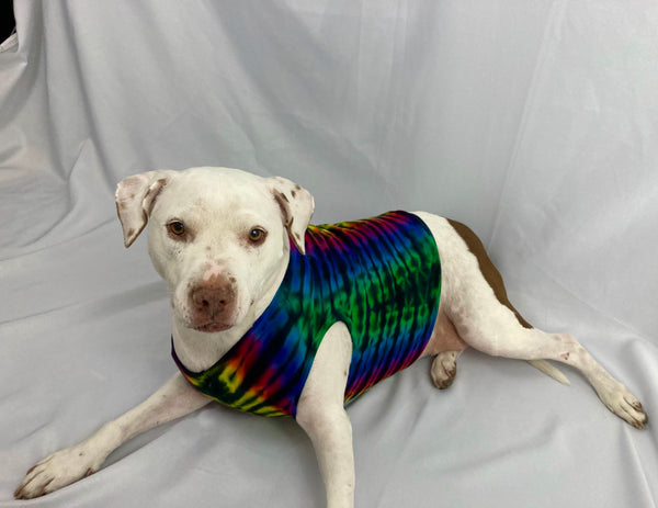Doggie Rainbow Black Striped Tie-Dyed Tank, XS, S & XL