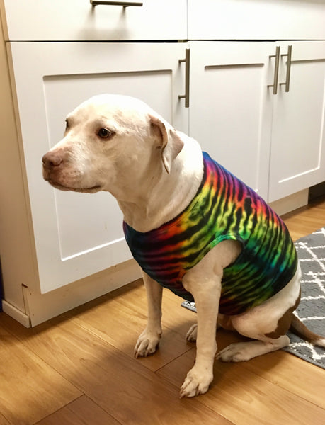 Doggie Rainbow Hourglass Tie-Dyed Tank, XL